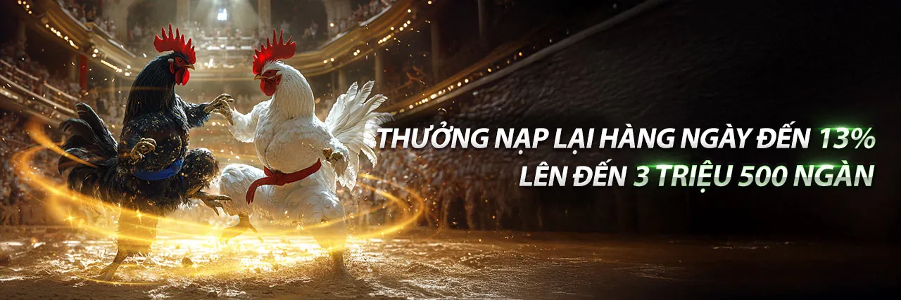 Đá Gà Thomo 8/4 – Sân đấu kịch tính